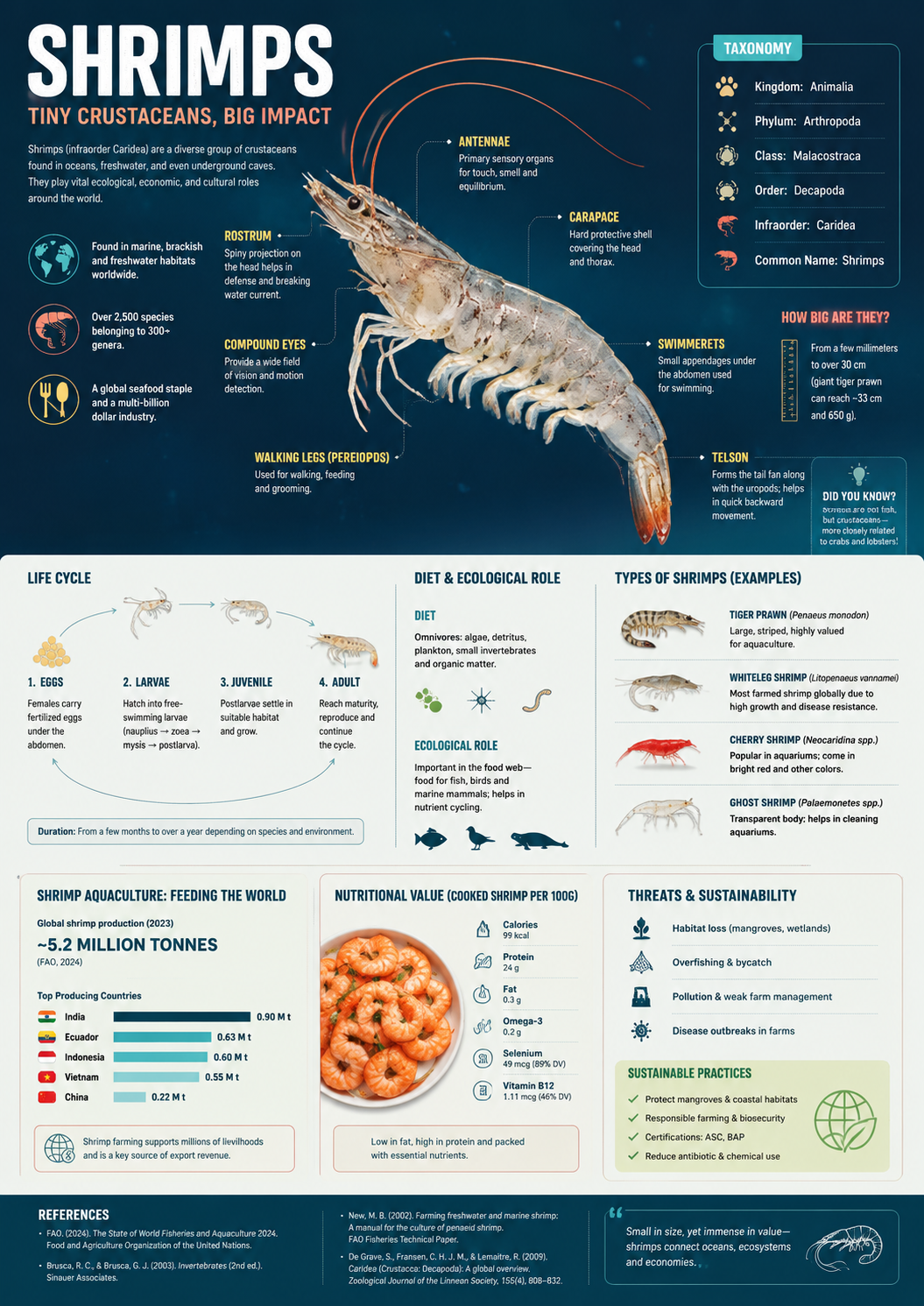 Shrimp photo annotated with hand-drawn labels and notes